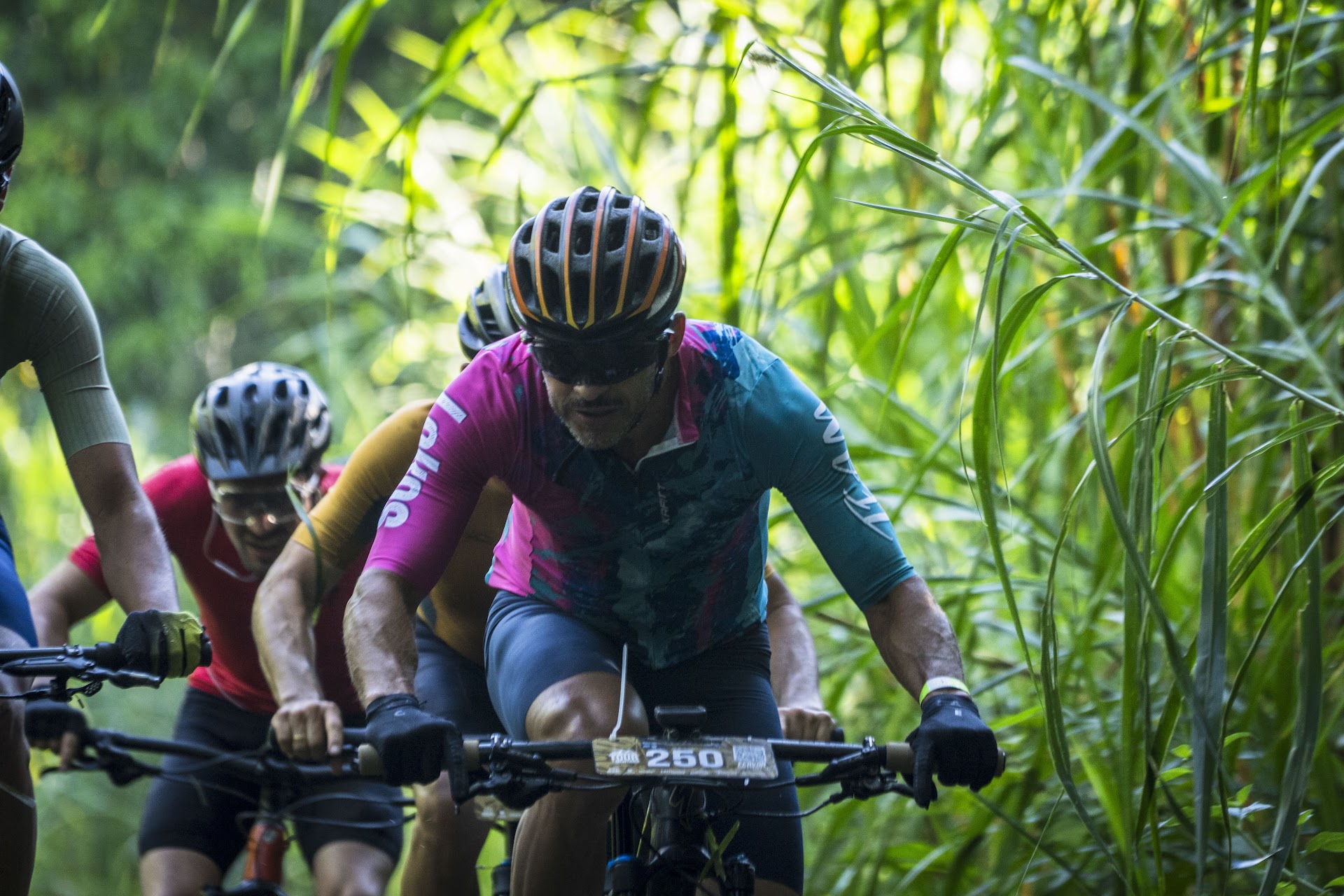 Fervor Cafetero — ciclistas en ruta